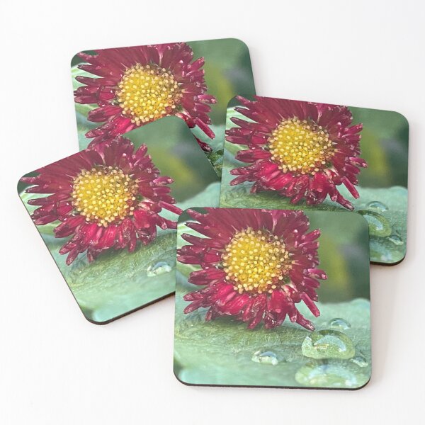 Item preview, Magic by Anna’s Floristry Design designed and sold by AnnasFloristry.