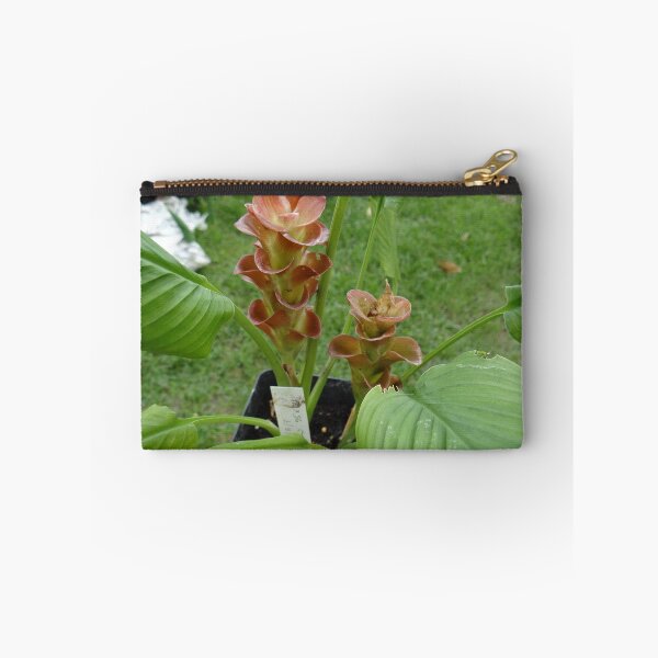 Item preview, Siam tulip is flowering plant, Curcuma sp. of the ginger family no. 25 designed and sold by greengoodnich.