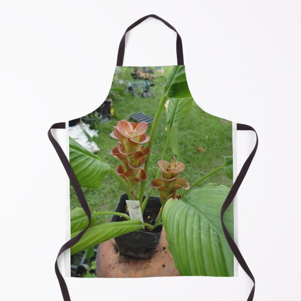 Item preview, Siam tulip is flowering plant, Curcuma sp. of the ginger family no. 25 designed and sold by greengoodnich.