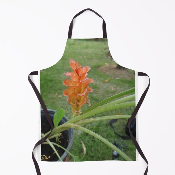 Item preview, Siam tulip is flowering plant, Curcuma sp. of the ginger family no. 26 designed and sold by greengoodnich.