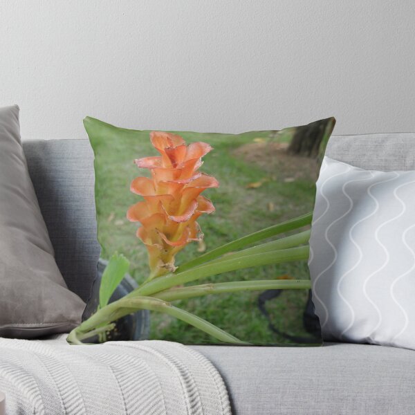 Item preview, Siam tulip is flowering plant, Curcuma sp. of the ginger family no. 26 designed and sold by greengoodnich.