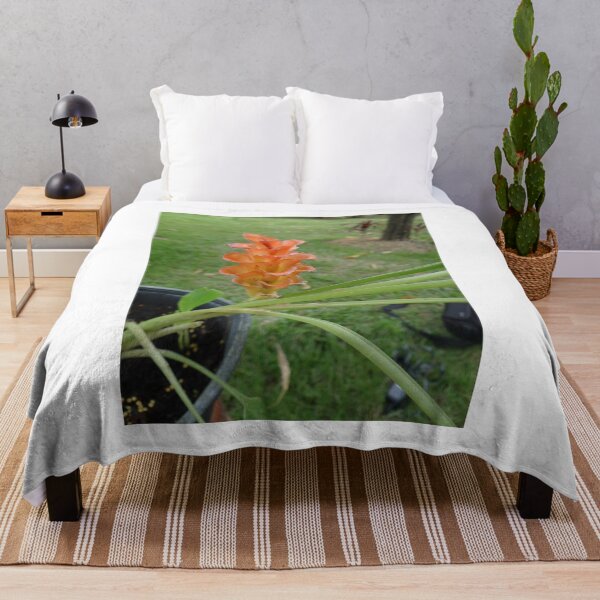 Item preview, Siam tulip is flowering plant, Curcuma sp. of the ginger family no. 26 designed and sold by greengoodnich.