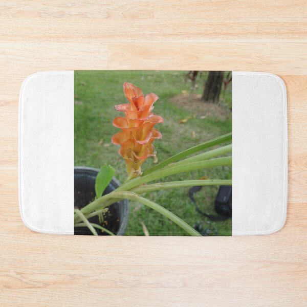Item preview, Siam tulip is flowering plant, Curcuma sp. of the ginger family no. 26 designed and sold by greengoodnich.