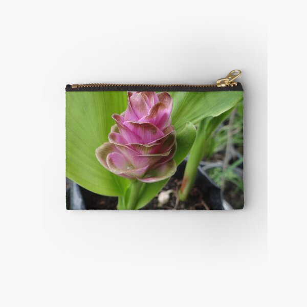 Item preview, Siam tulip is flowering plant, Curcuma sp. of the ginger family no. 27 designed and sold by greengoodnich.