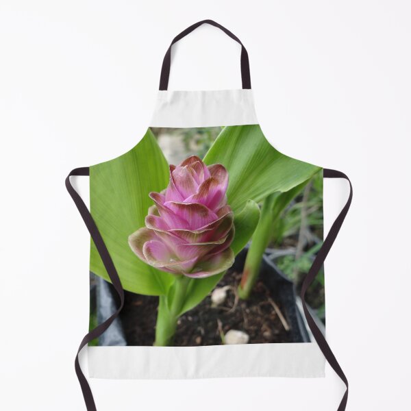 Item preview, Siam tulip is flowering plant, Curcuma sp. of the ginger family no. 27 designed and sold by greengoodnich.