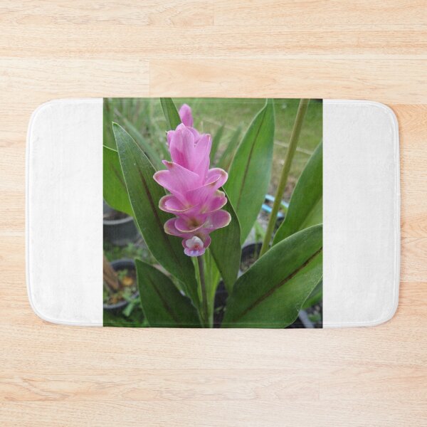 Item preview, Siam tulip is flowering plant, Curcuma sp. of the ginger family no. 28 designed and sold by greengoodnich.