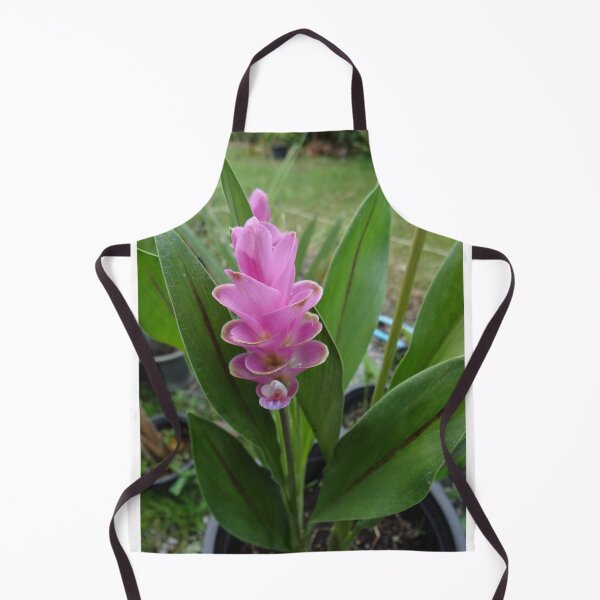 Item preview, Siam tulip is flowering plant, Curcuma sp. of the ginger family no. 28 designed and sold by greengoodnich.