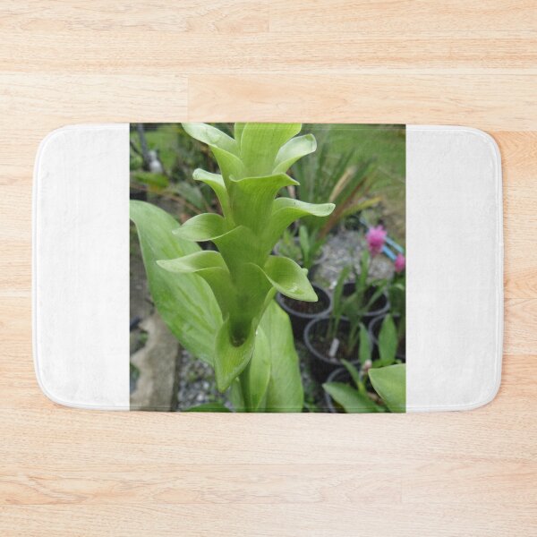 Item preview, Siam tulip is flowering plant, Curcuma sp. of the ginger family no. 29 designed and sold by greengoodnich.