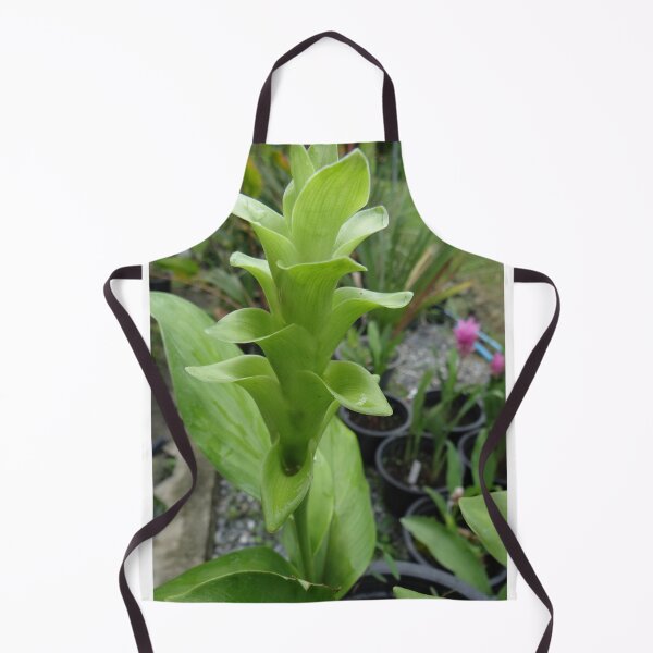 Item preview, Siam tulip is flowering plant, Curcuma sp. of the ginger family no. 29 designed and sold by greengoodnich.