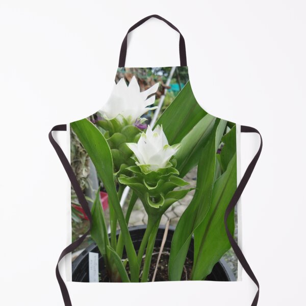 Item preview, Siam tulip is flowering plant, Curcuma sp. of the ginger family no. 30 designed and sold by greengoodnich.