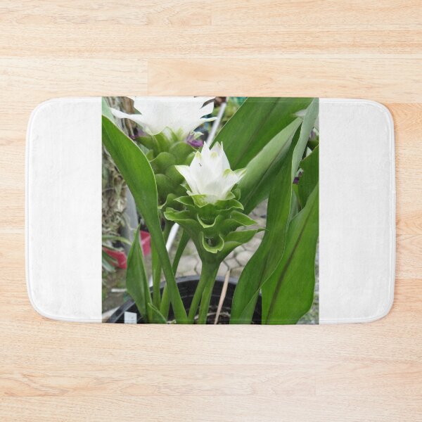 Item preview, Siam tulip is flowering plant, Curcuma sp. of the ginger family no. 30 designed and sold by greengoodnich.