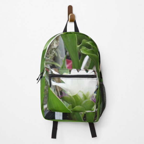 Item preview, Siam tulip is flowering plant, Curcuma sp. of the ginger family no. 30 designed and sold by greengoodnich.