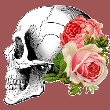 Artwork thumbnail, Skull with Roses by euglenii