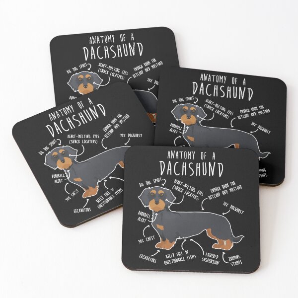 Item preview, Black and Tan Wirehaired Dachshund Dog Anatomy designed and sold by Clara Hollins.