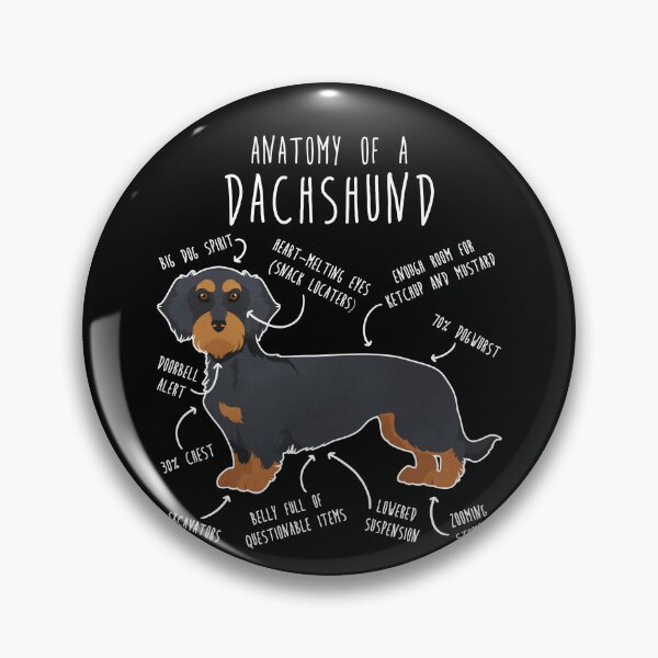 Item preview, Black and Tan Wirehaired Dachshund Dog Anatomy designed and sold by Clara Hollins.