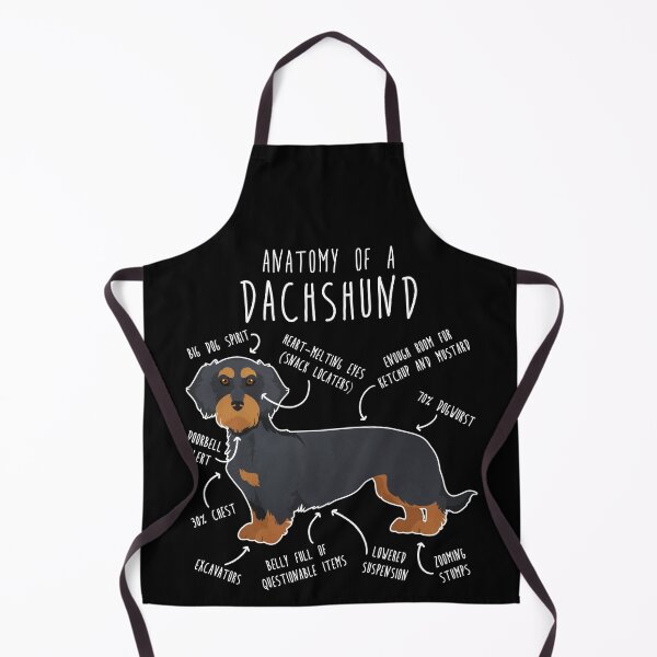 Item preview, Black and Tan Wirehaired Dachshund Dog Anatomy designed and sold by Clara Hollins.