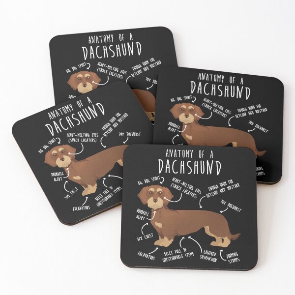 Item preview, Red Wirehaired Dachshund Dog Anatomy designed and sold by Clara Hollins.