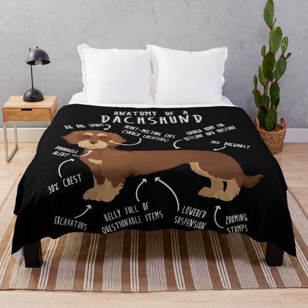 Item preview, Red Wirehaired Dachshund Dog Anatomy designed and sold by Clara Hollins.