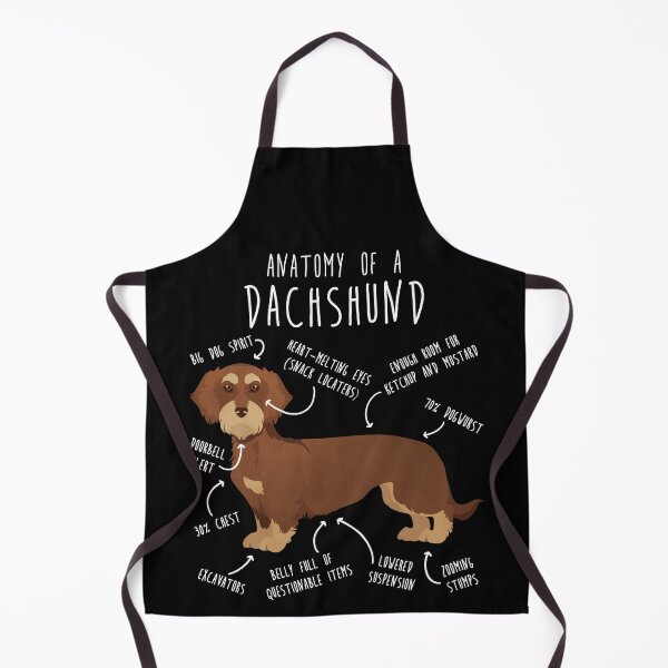 Item preview, Red Wirehaired Dachshund Dog Anatomy designed and sold by Clara Hollins.