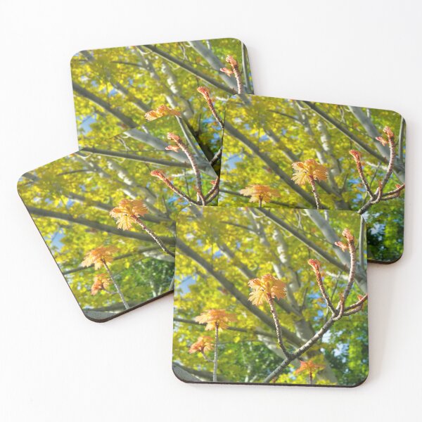 Item preview, Life Shoots designed and sold by OnigiriSuiko.