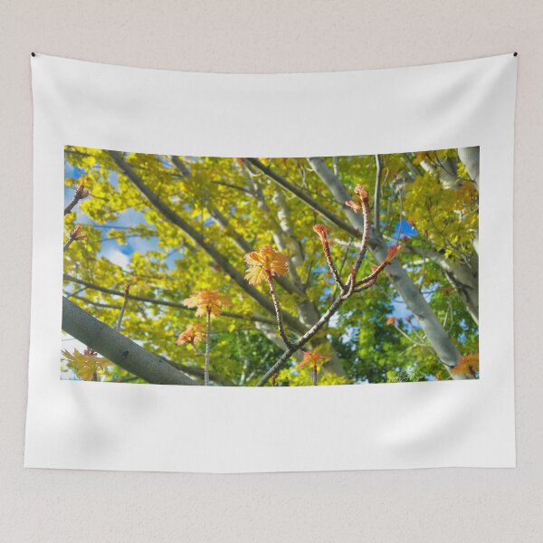 Item preview, Life Shoots designed and sold by OnigiriSuiko.