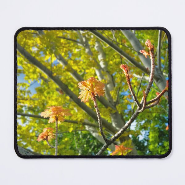 Item preview, Life Shoots designed and sold by OnigiriSuiko.
