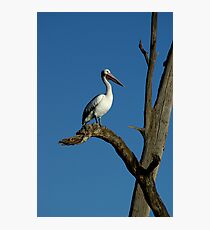 Australian Icon Photographic Print
