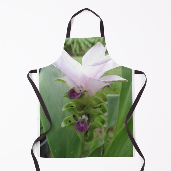 Item preview, Siam tulip is flowering plant, Curcuma sp. of the ginger family no. 31 designed and sold by greengoodnich.