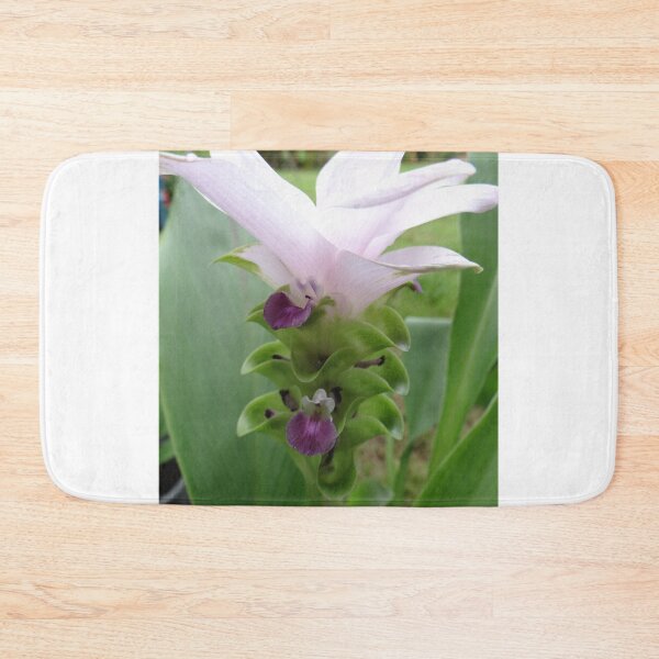 Item preview, Siam tulip is flowering plant, Curcuma sp. of the ginger family no. 31 designed and sold by greengoodnich.