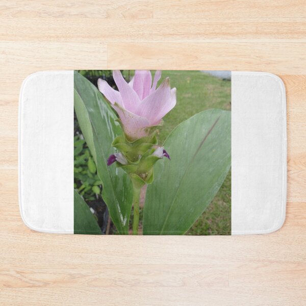 Item preview, Siam tulip is flowering plant, Curcuma sp. of the ginger family no. 32 designed and sold by greengoodnich.