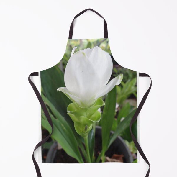 Item preview, Siam tulip is flowering plant, Curcuma sp. of the ginger family no. 33 designed and sold by greengoodnich.