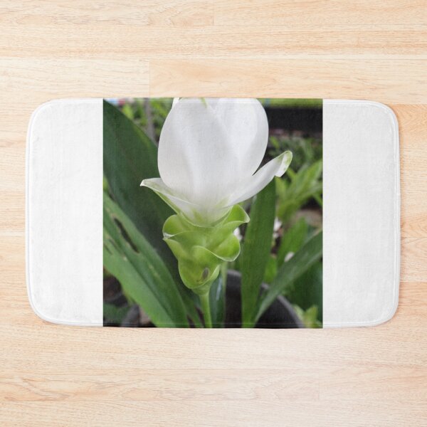 Item preview, Siam tulip is flowering plant, Curcuma sp. of the ginger family no. 33 designed and sold by greengoodnich.