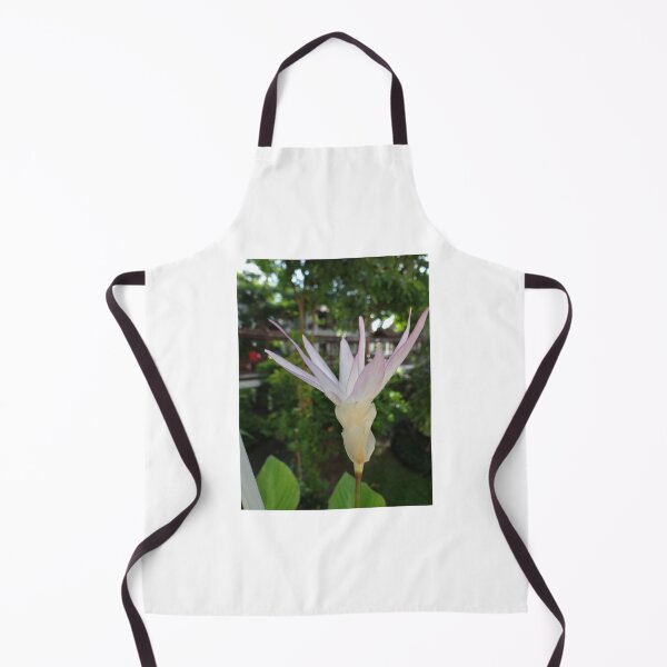 Item preview, Siam tulip is flowering plant, Curcuma sp. of the ginger family no. 34 designed and sold by greengoodnich.