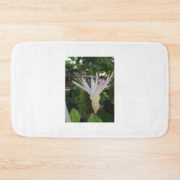 Item preview, Siam tulip is flowering plant, Curcuma sp. of the ginger family no. 34 designed and sold by greengoodnich.