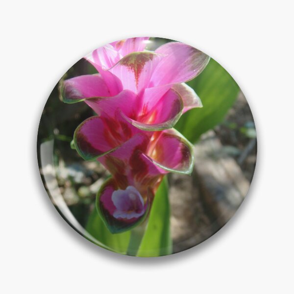Item preview, Siam tulip is flowering plant, Curcuma sp. of the ginger family no. 35 designed and sold by greengoodnich.