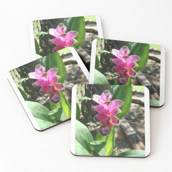Item preview, Siam tulip is flowering plant, Curcuma sp. of the ginger family no. 35 designed and sold by greengoodnich.
