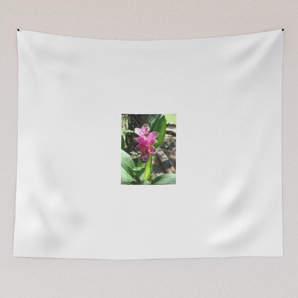 Item preview, Siam tulip is flowering plant, Curcuma sp. of the ginger family no. 35 designed and sold by greengoodnich.