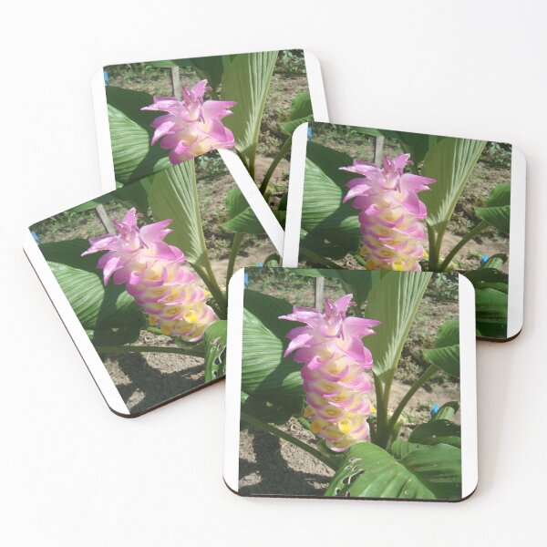 Item preview, Siam tulip is flowering plant, Curcuma sp. of the ginger family no. 36 designed and sold by greengoodnich.