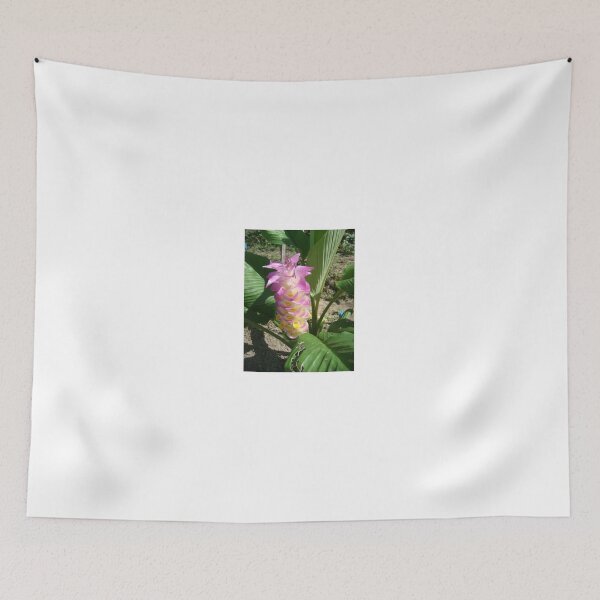 Item preview, Siam tulip is flowering plant, Curcuma sp. of the ginger family no. 36 designed and sold by greengoodnich.
