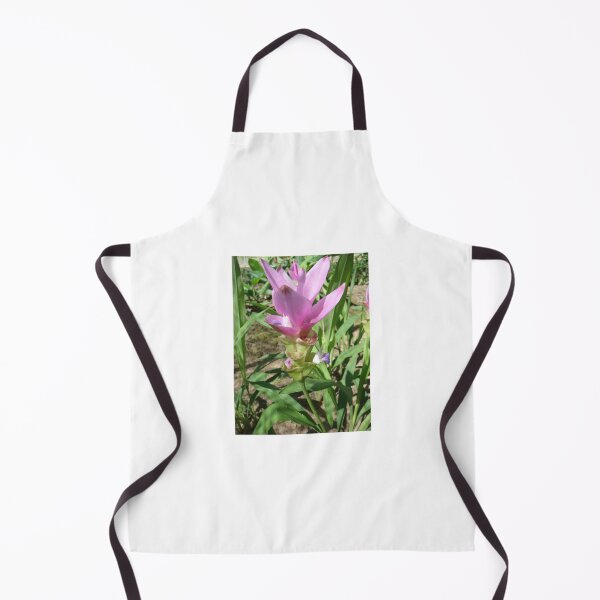 Item preview, Siam tulip is flowering plant, Curcuma sp. of the ginger family no. 37 designed and sold by greengoodnich.