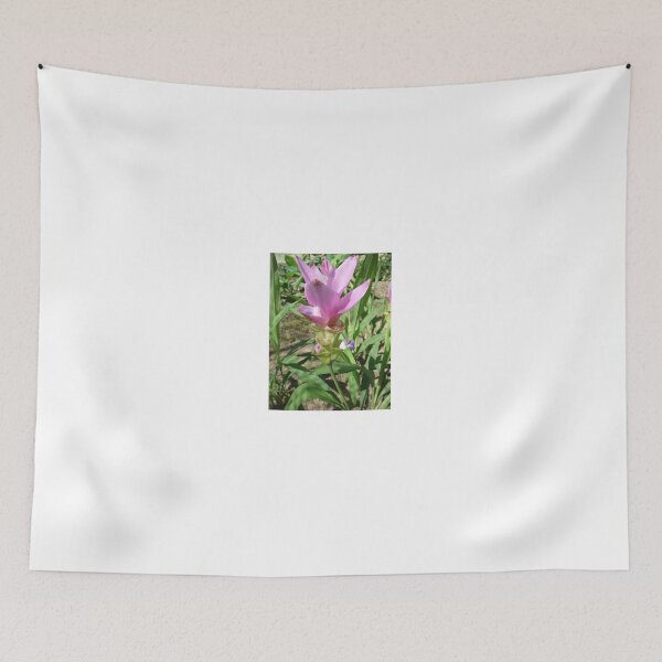 Item preview, Siam tulip is flowering plant, Curcuma sp. of the ginger family no. 37 designed and sold by greengoodnich.