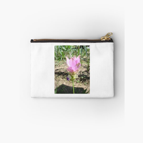 Item preview, Siam tulip is flowering plant, Curcuma sp. of the ginger family no. 38 designed and sold by greengoodnich.