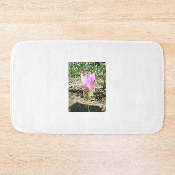 Item preview, Siam tulip is flowering plant, Curcuma sp. of the ginger family no. 38 designed and sold by greengoodnich.