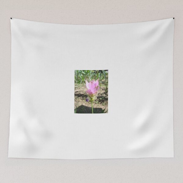 Item preview, Siam tulip is flowering plant, Curcuma sp. of the ginger family no. 38 designed and sold by greengoodnich.