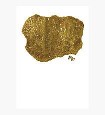 DAB Slab Photographic Print