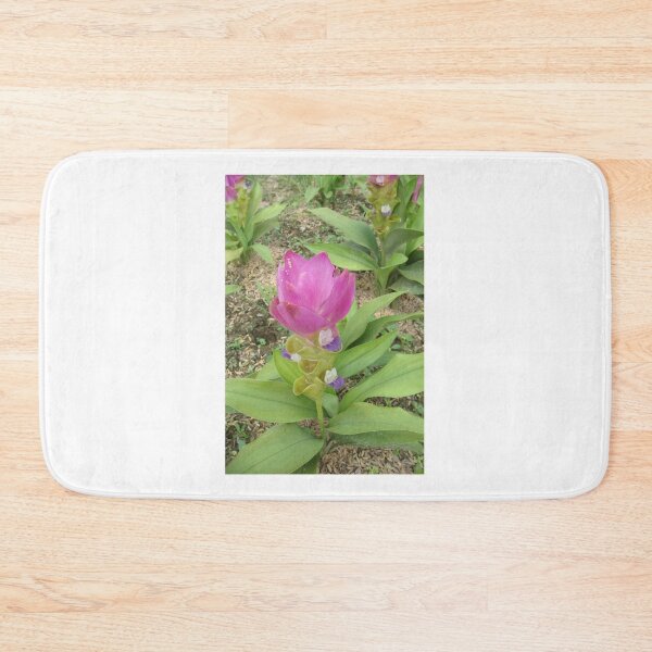 Item preview, Siam tulip is flowering plant, Curcuma sp. of the ginger family no. 39 designed and sold by greengoodnich.