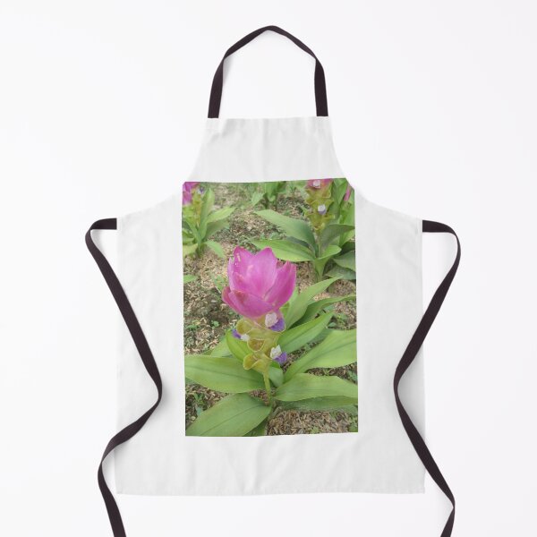 Item preview, Siam tulip is flowering plant, Curcuma sp. of the ginger family no. 39 designed and sold by greengoodnich.
