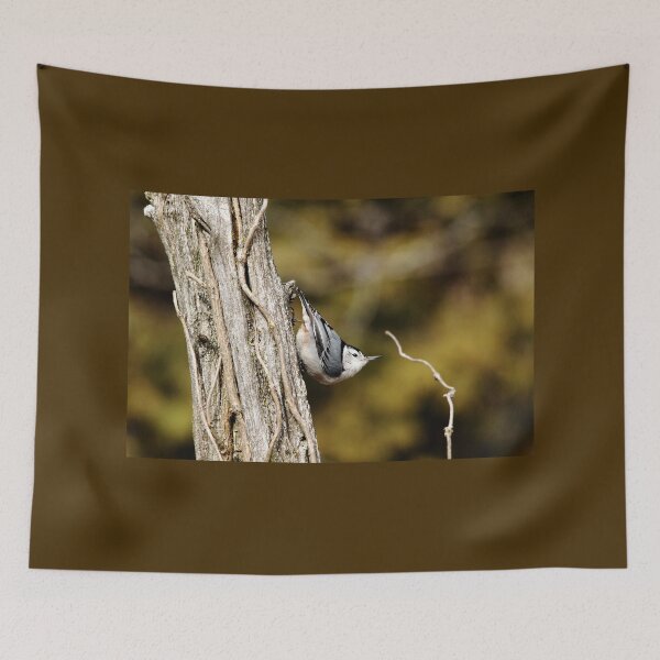 Item preview, Nuthatch Pose designed and sold by Debbie Oppermann.