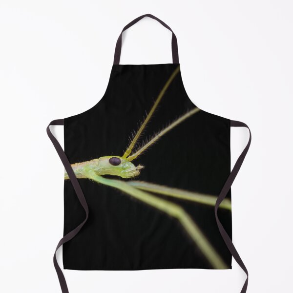 Item preview, A tiny stick insect nymph with a slightly transparent body designed and sold by AvonPerception.
