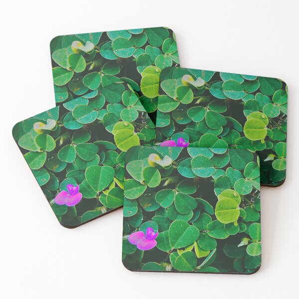 Item preview, Heen Undupiyaliya - Ayurvedic Plants designed and sold by Shopping Dude.